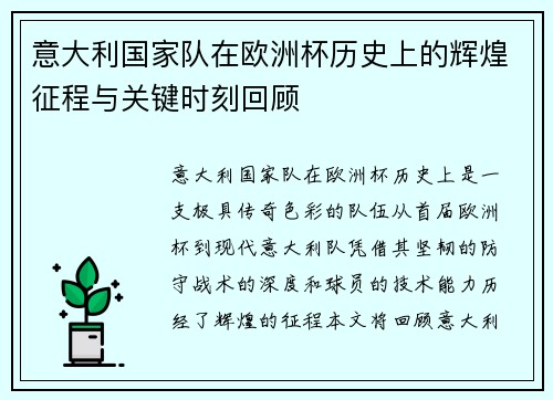 意大利国家队在欧洲杯历史上的辉煌征程与关键时刻回顾