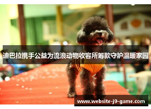 迪巴拉携手公益为流浪动物收容所筹款守护温暖家园