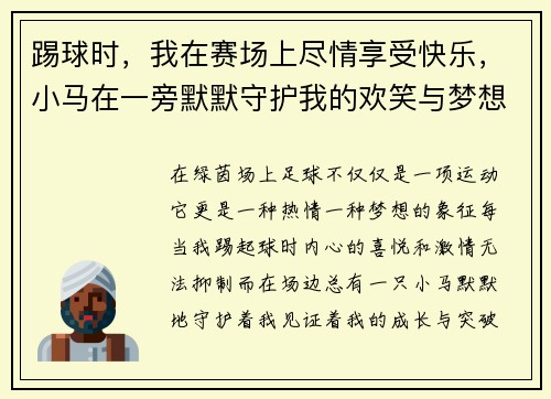 踢球时，我在赛场上尽情享受快乐，小马在一旁默默守护我的欢笑与梦想